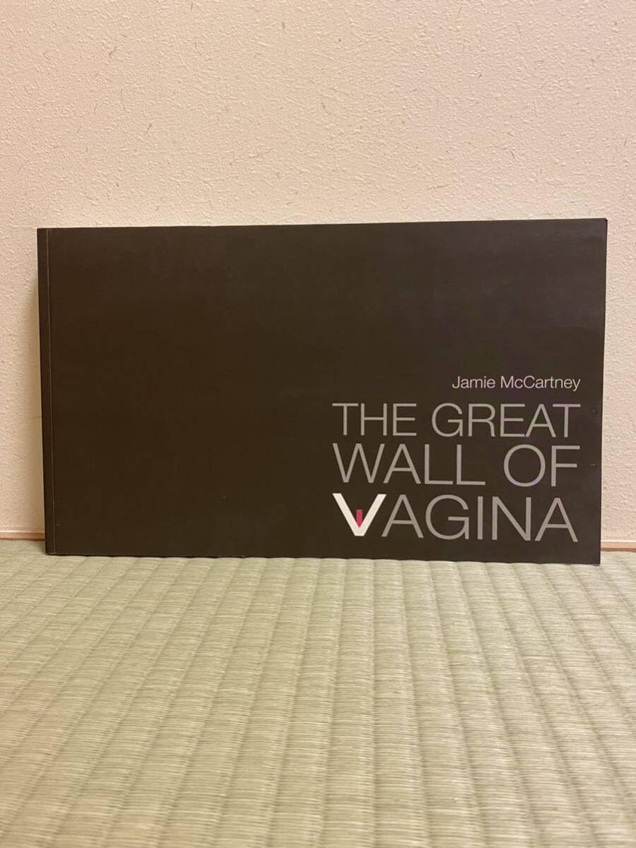Amazon.co.jp: THE GREAT WALL OF VAGINA : おもちゃ